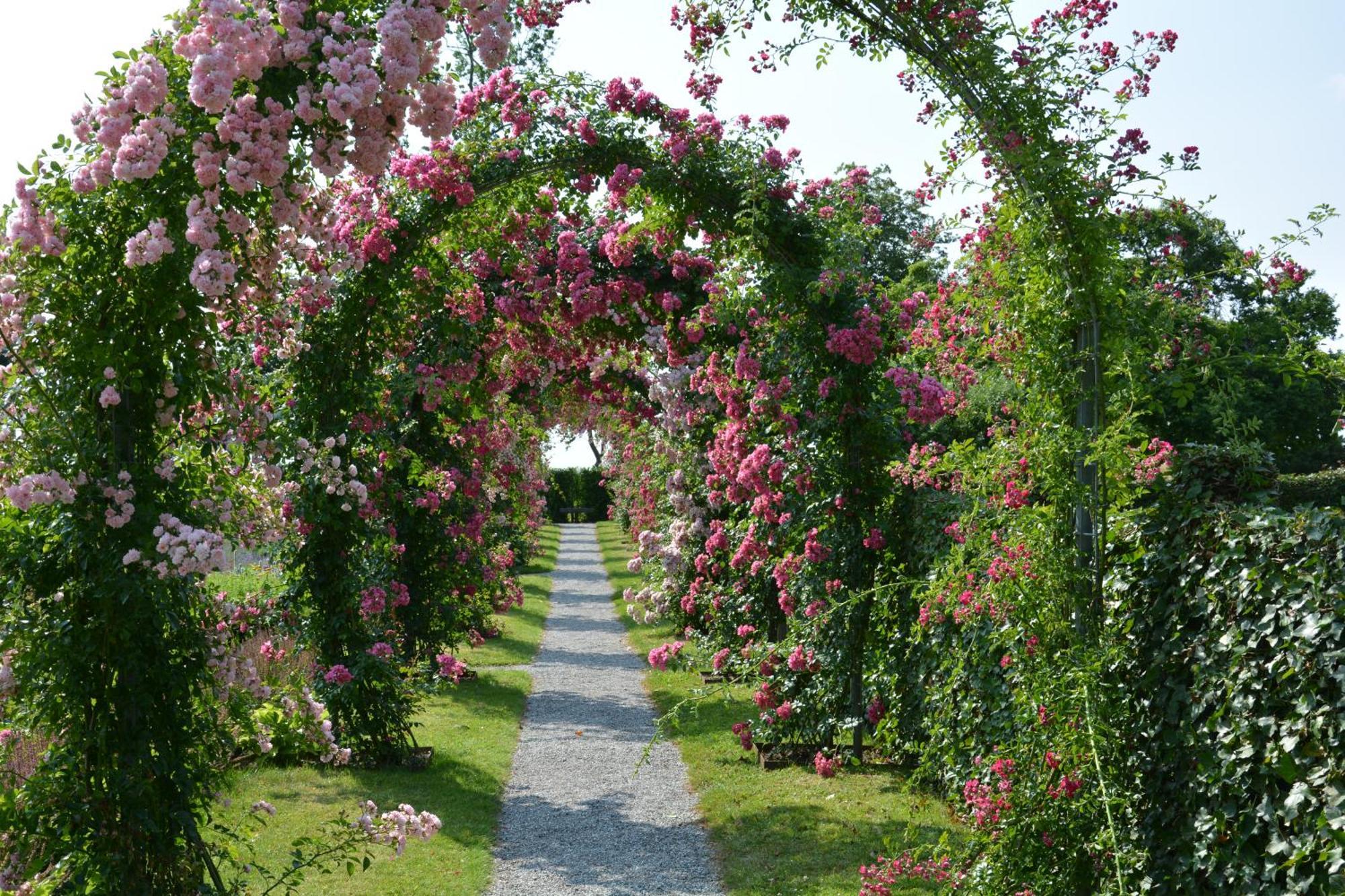 Kirkely Bed And Breakfast Vester Ulslev Bagian luar foto